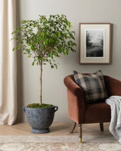 Clemence Lounge Chair -McGee and Co Furniture Store 20230608 SS FallCatalogue 005 T ee04ede0 269e 4bb7 9ff1 3f642333fe01