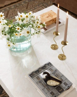 Julio Coffee Table -McGee and Co Furniture Store 20231110 SS Furniture Decor 003 T